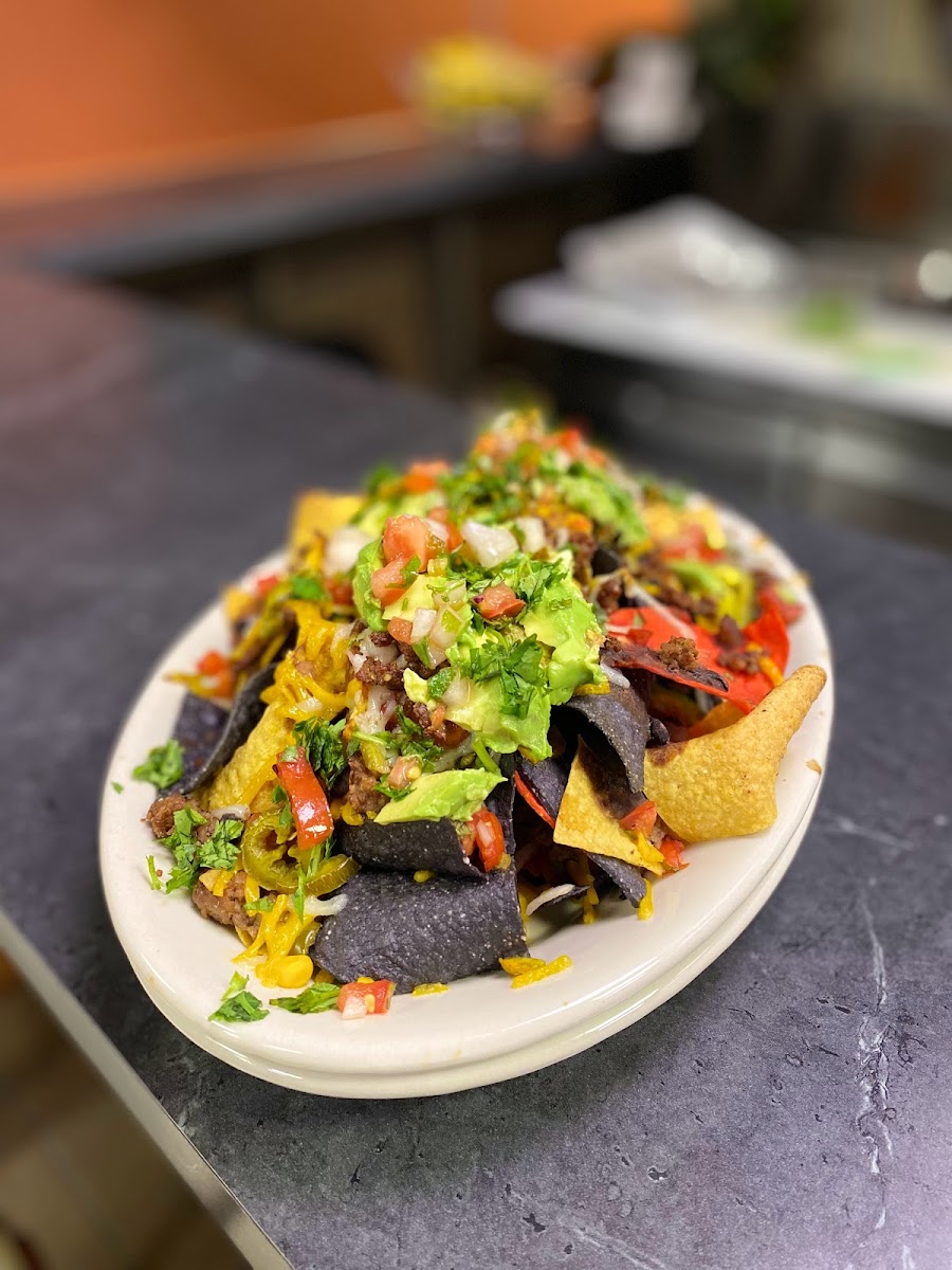 Vegan Tierra-10
