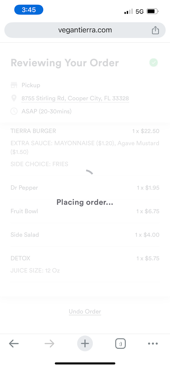 Menu Vegan Tierra-10