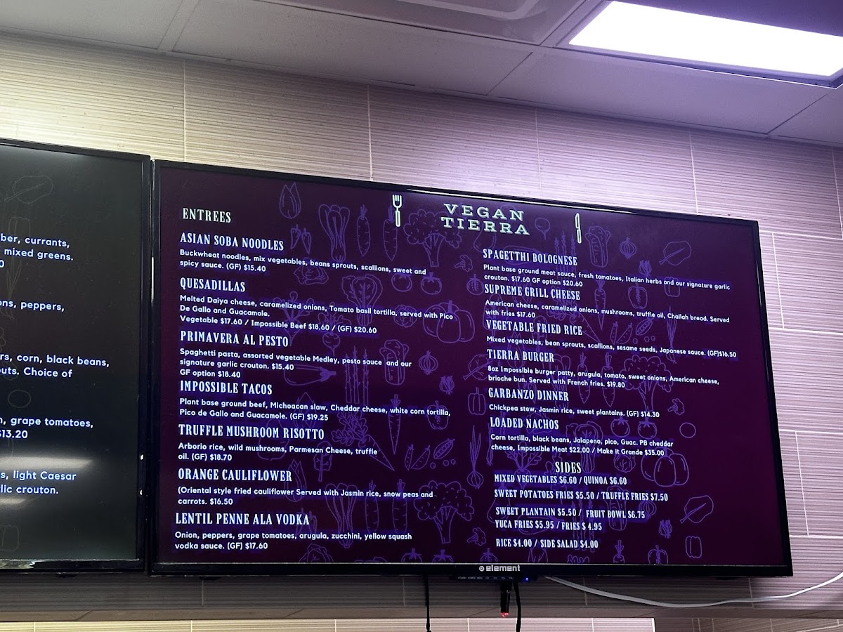 Menu Vegan Tierra-8