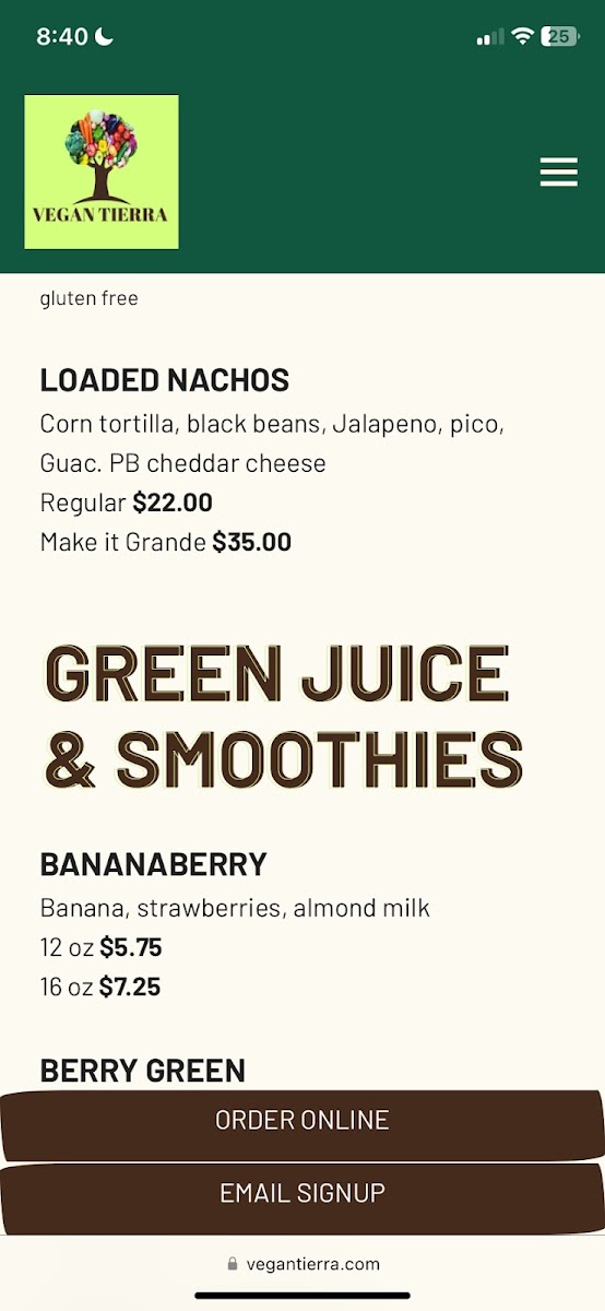 Menu Vegan Tierra-9